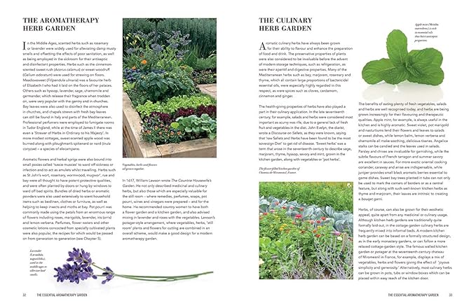 Essential Aromatherapy Garden by Julia Lawless