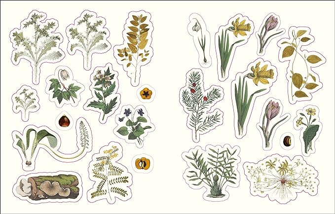 Forests, Fairies, and Fungi Sticker Anthology