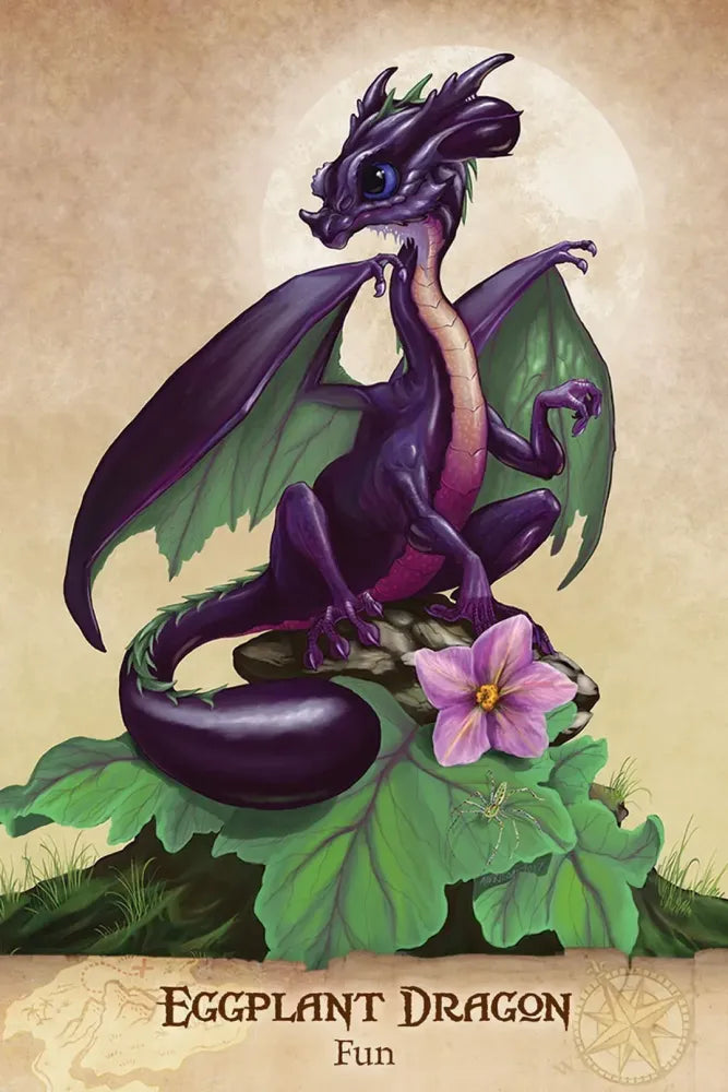 Field Guide to Garden Dragons by Stanley Morrison & Arwen Lynch