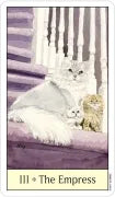 Cat’s Eye Tarot by Debra M. Givin, DVM