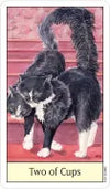 Cat’s Eye Tarot by Debra M. Givin, DVM