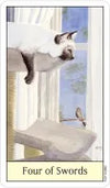 Cat’s Eye Tarot by Debra M. Givin, DVM