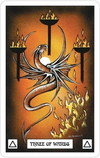 Dragon Tarot by Terry Donaldson & Peter Pracownik