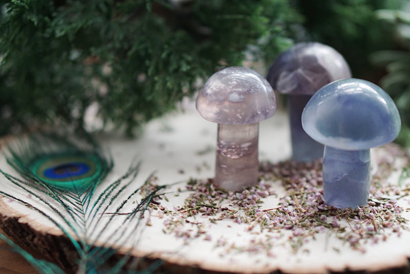 Rainbow Fluorite Mushroom Carvings