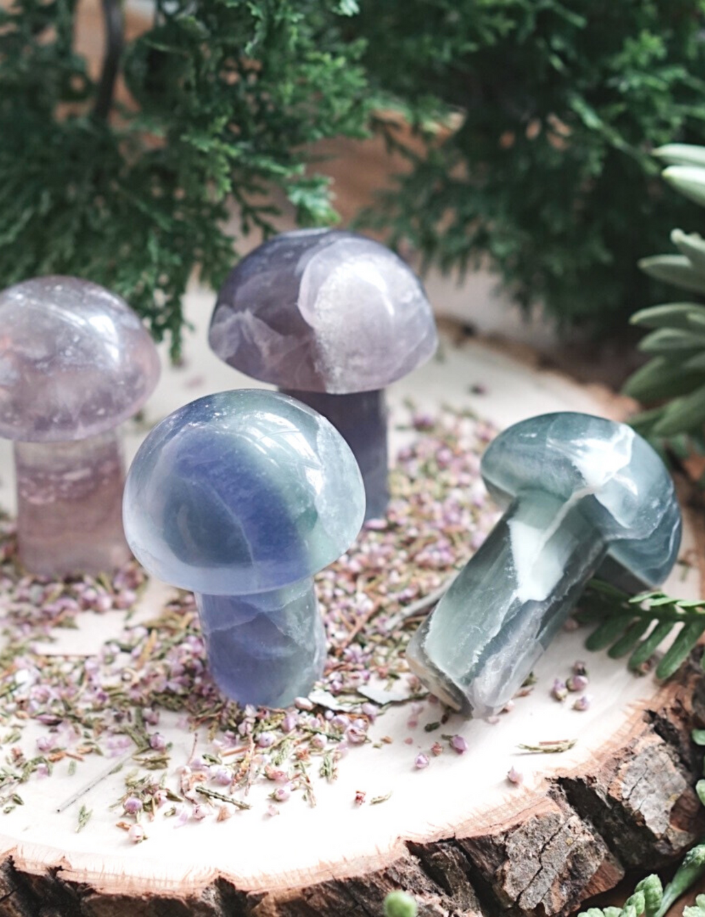 Rainbow Fluorite Mushroom Carvings